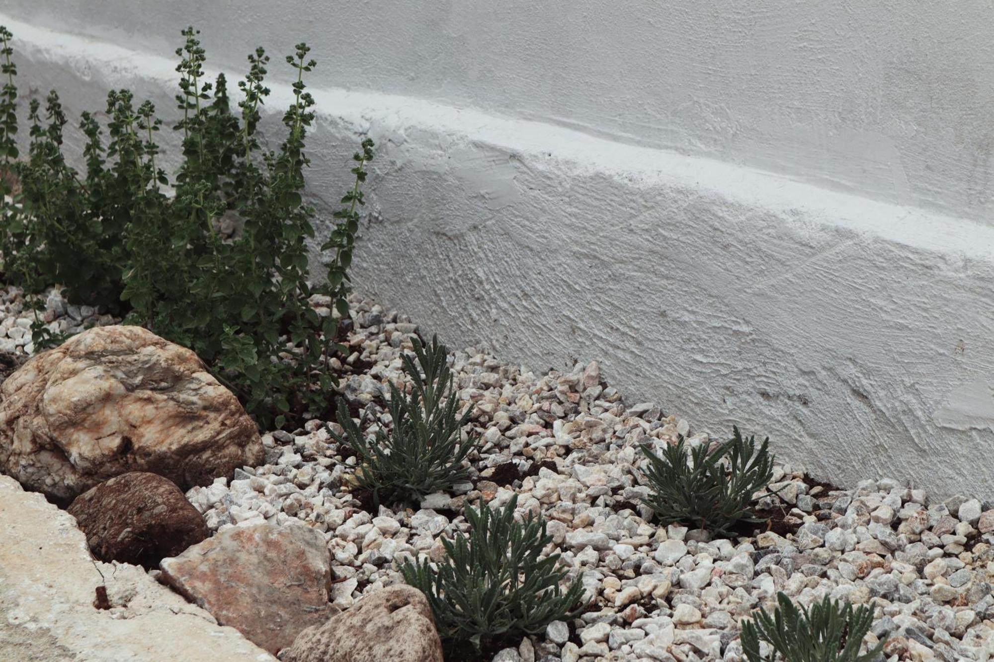 Villa Elea Apartments Spiliá Dış mekan fotoğraf