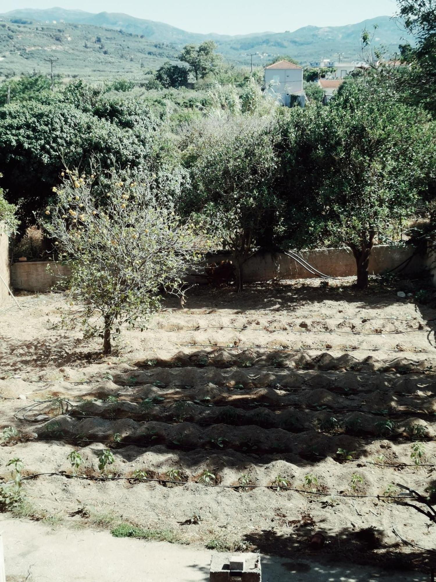 Villa Elea Apartments Spiliá Dış mekan fotoğraf