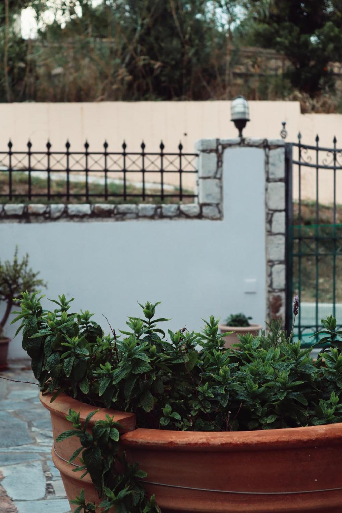 Villa Elea Apartments Spiliá Dış mekan fotoğraf