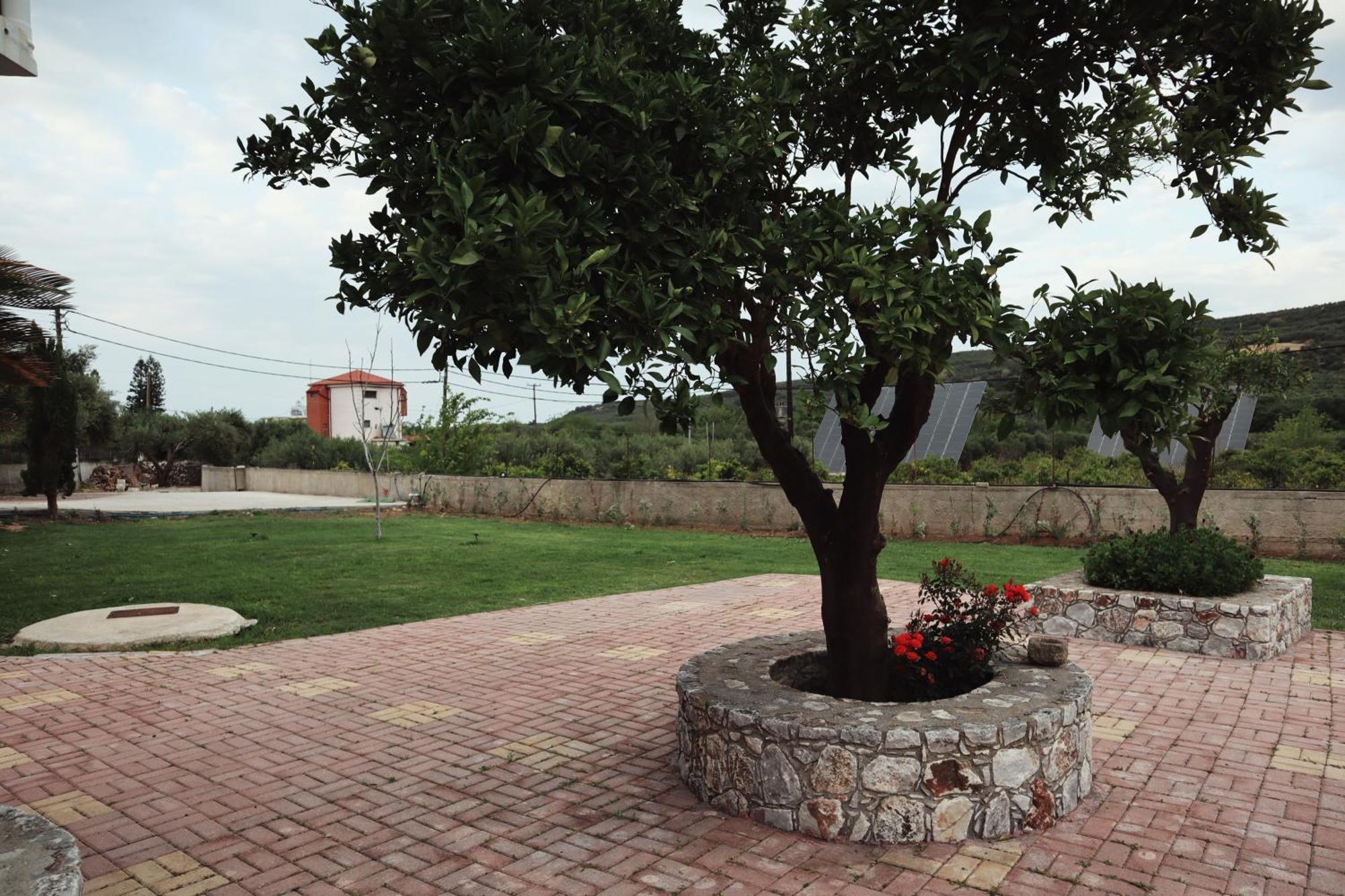 Villa Elea Apartments Spiliá Dış mekan fotoğraf