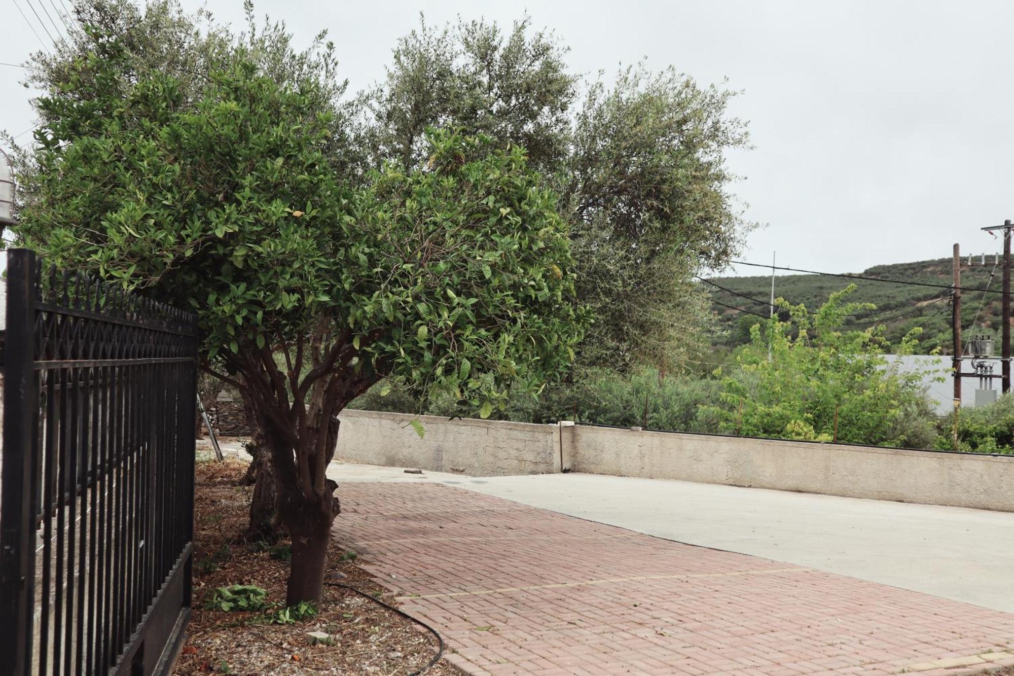 Villa Elea Apartments Spiliá Dış mekan fotoğraf