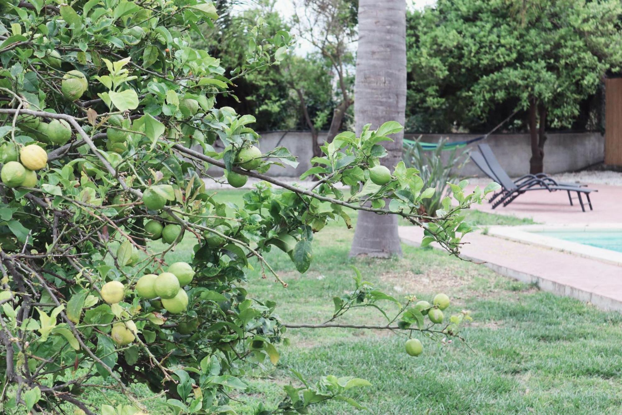 Villa Elea Apartments Spiliá Dış mekan fotoğraf
